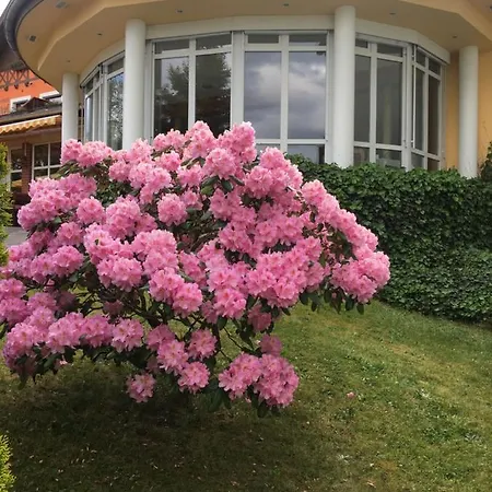 ホテル Parkhotel Margaretenhof