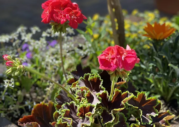 Parkhotel Margaretenhof 3* كورورت غوريتش