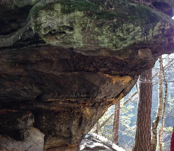 Parkhotel Margaretenhof Kurort Gohrisch