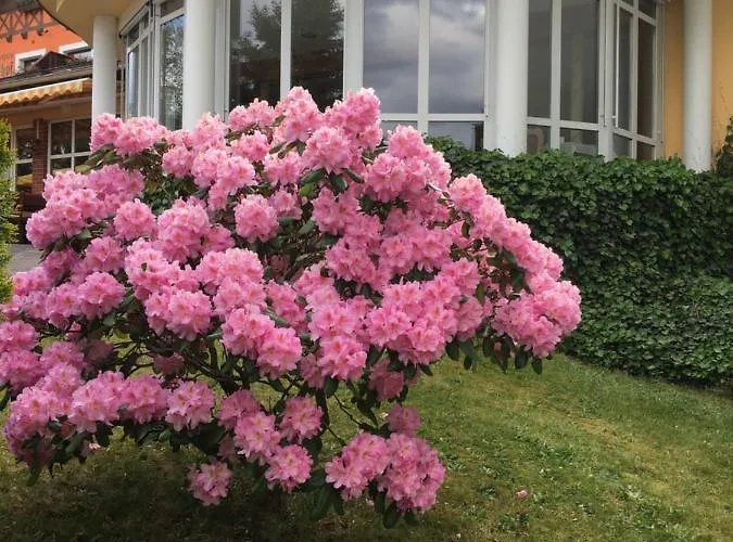 فندق Parkhotel Margaretenhof